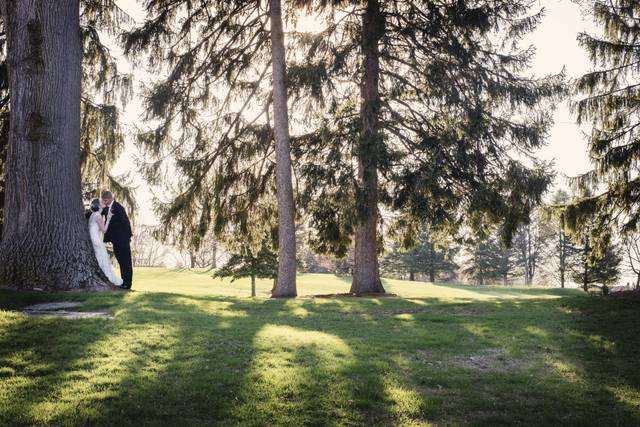 Under the trees