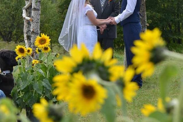 Sunflower wedding decor