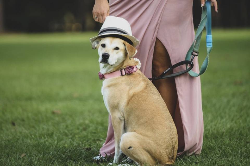 Wedding photo