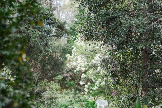 Lots of paths in the gardens