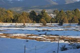 Snowy view