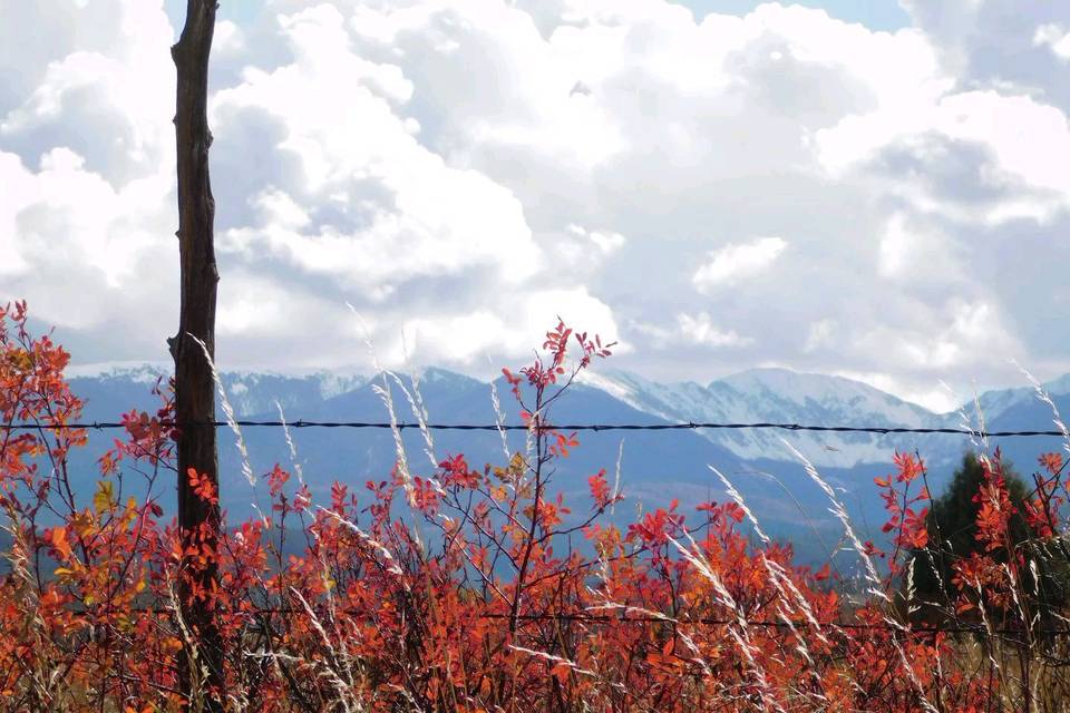 Truchas Peaks in Autumn