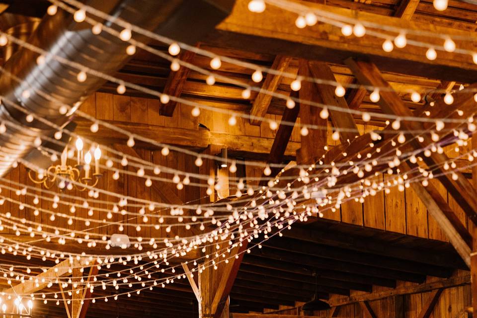 Reception Lights