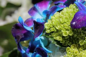 Tsukroff Photography LLC