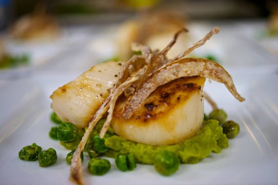 Scallops