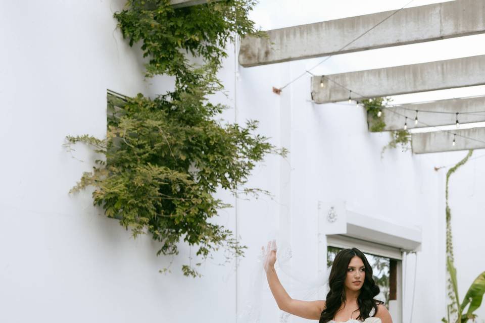 Bride & Groom Portraits