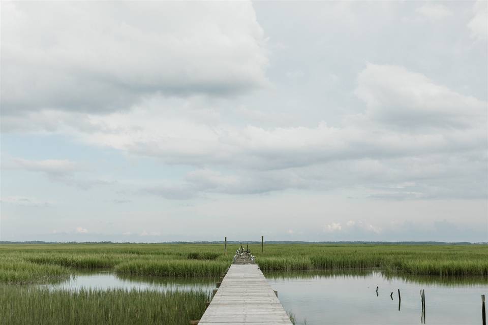 Marshes