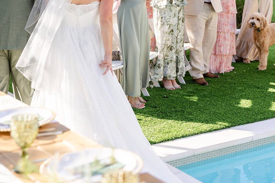 Orlando Wedding