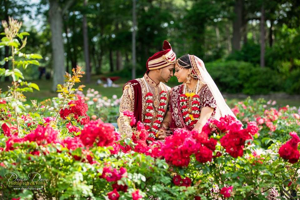 Rose Garden