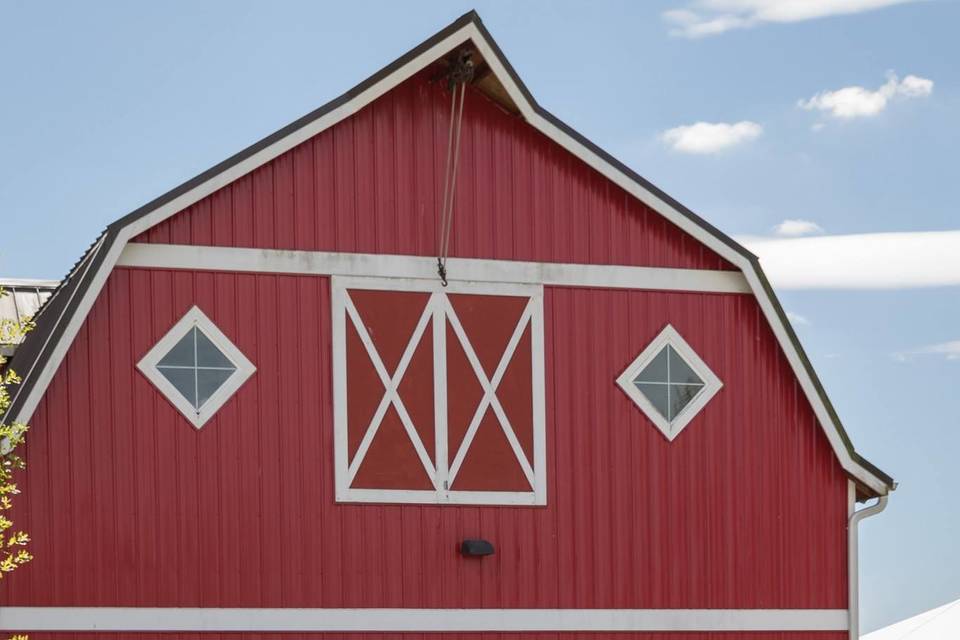 Barn in the backdrop | Jen Sanders Photography