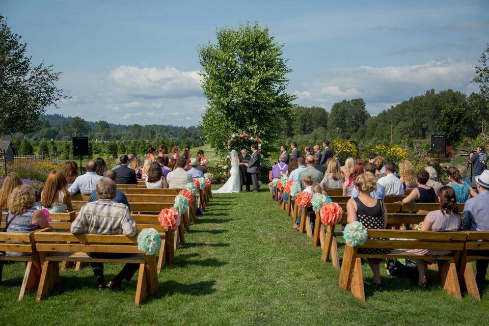 Outdoor wedding ceremony