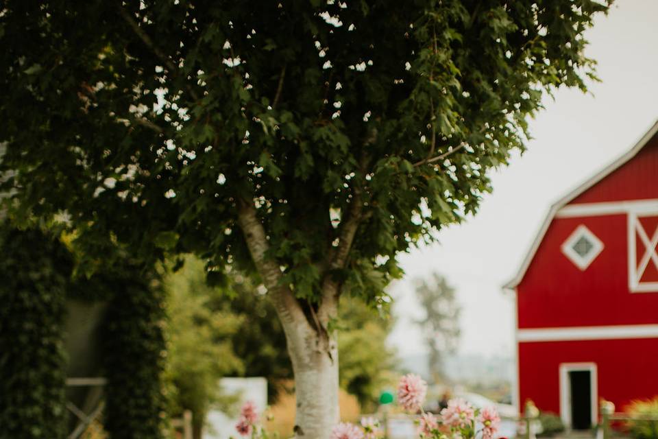 Snohomish Red Barn Events