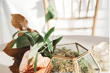 Terrarium Centerpiece