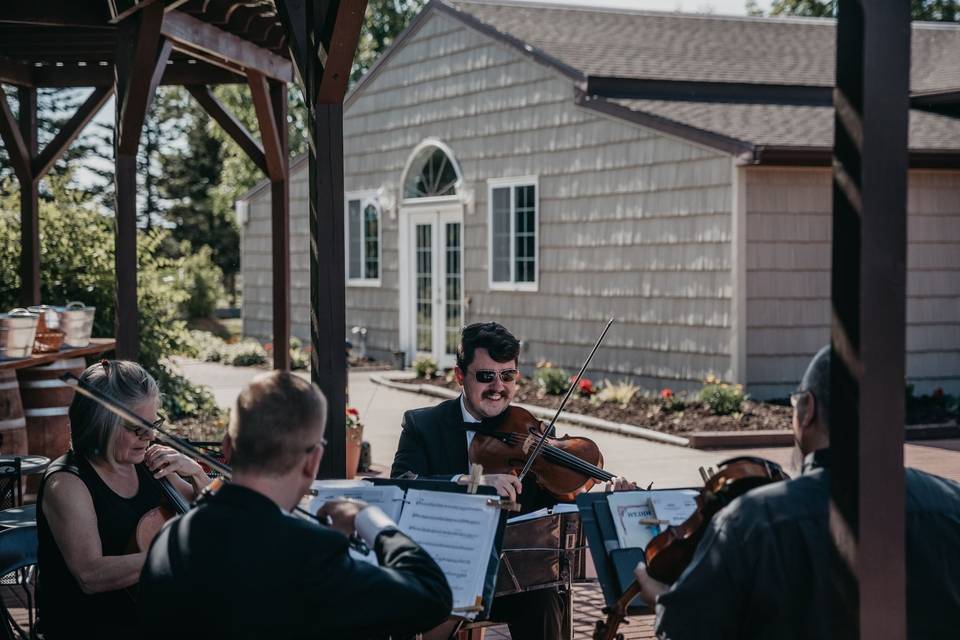 String Quartet during Ceremony