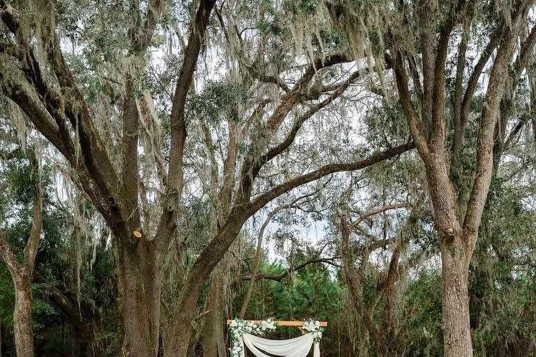 Ceremony Benches + Traditional