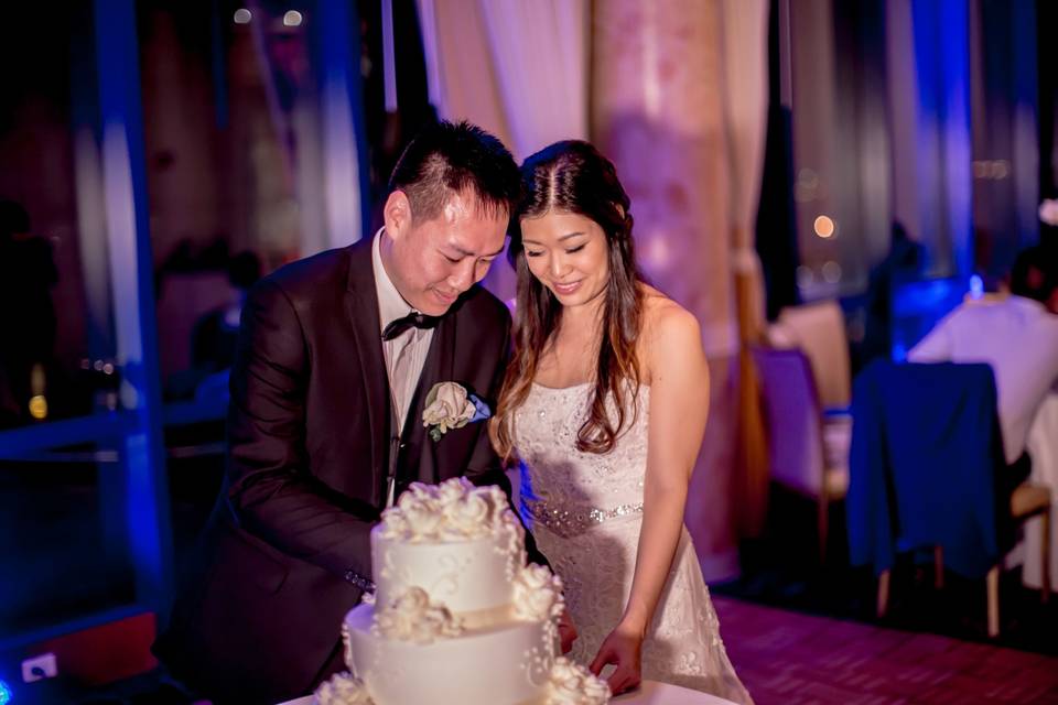 Cake Cutting