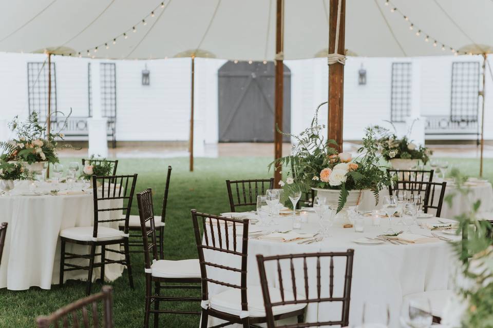 Outdoor Celebration