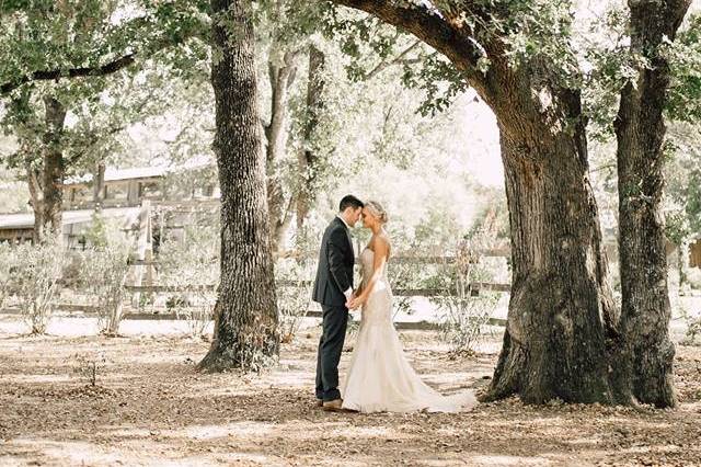 Bride and Groom