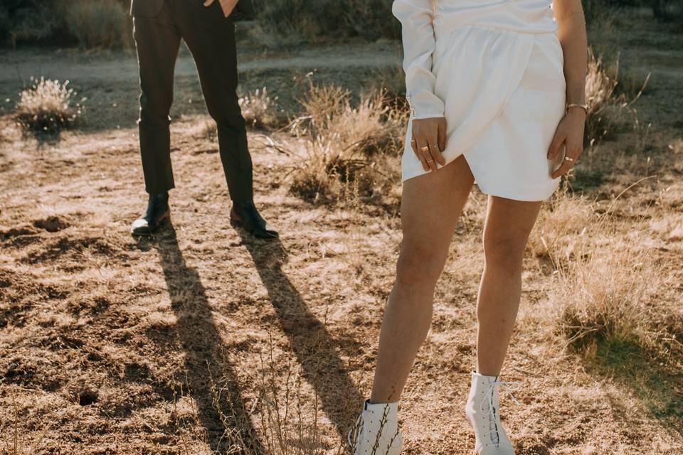 Sun flares in Joshua Tree