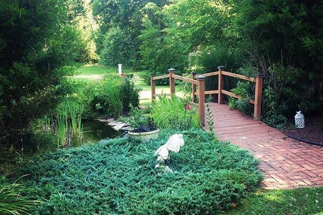 Pond and garden area