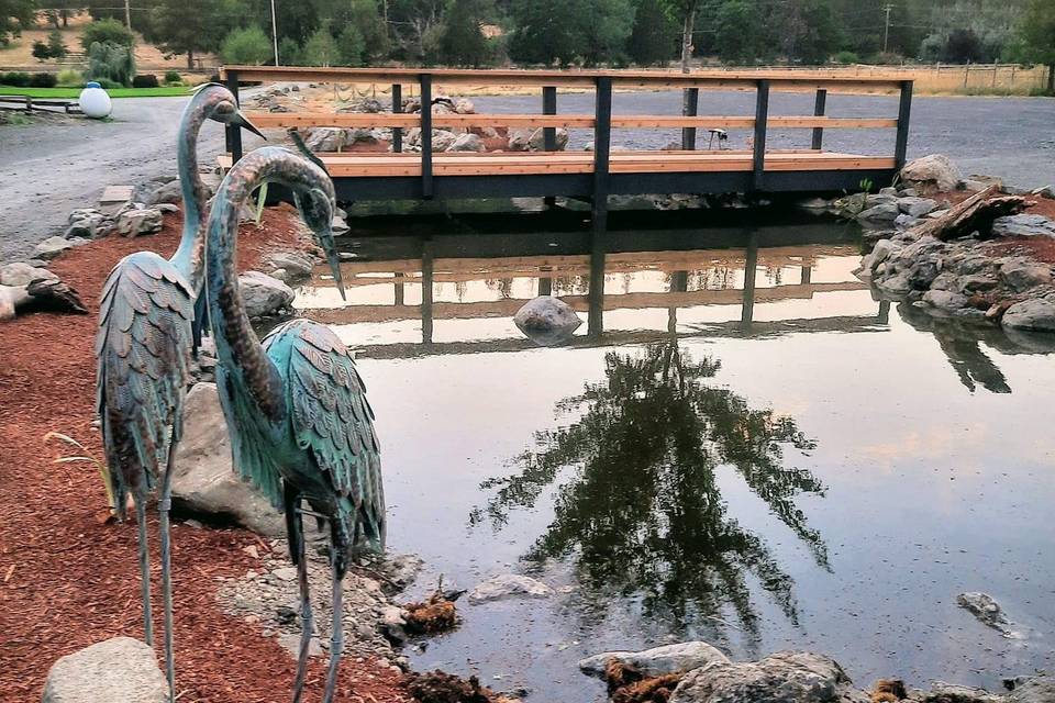 Pond at Sungate Place