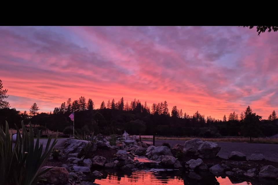 Sunset over the pond
