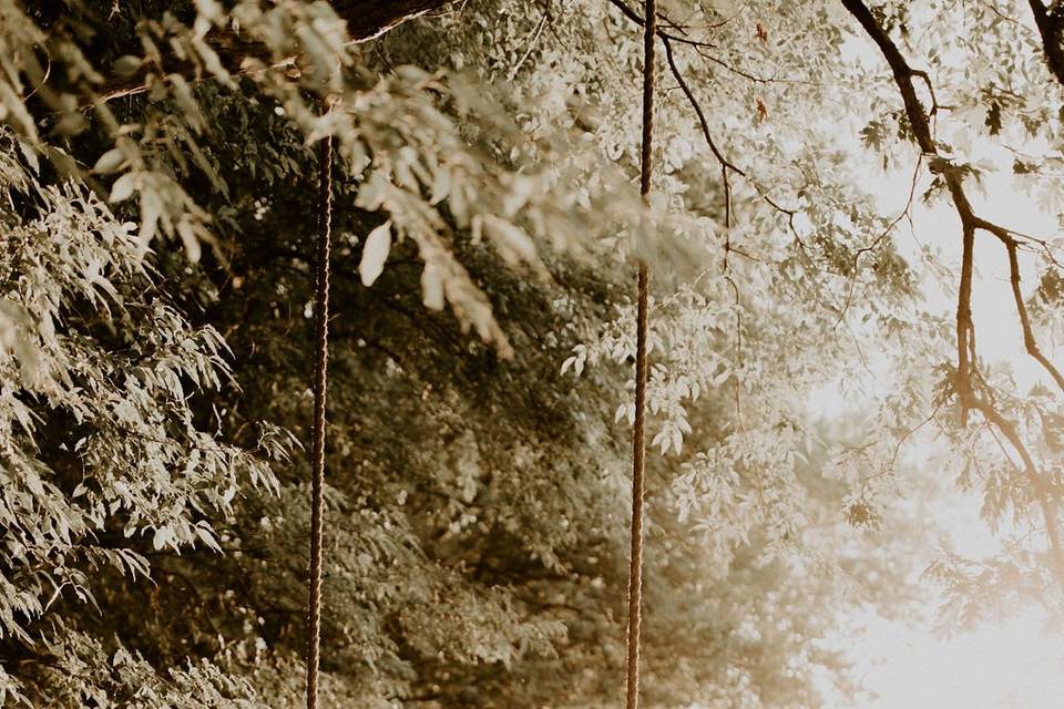 Cedar swing under the Oaks