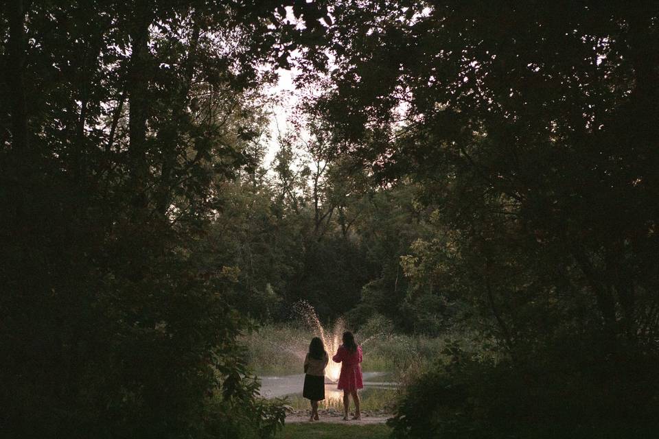 Pond in the evening