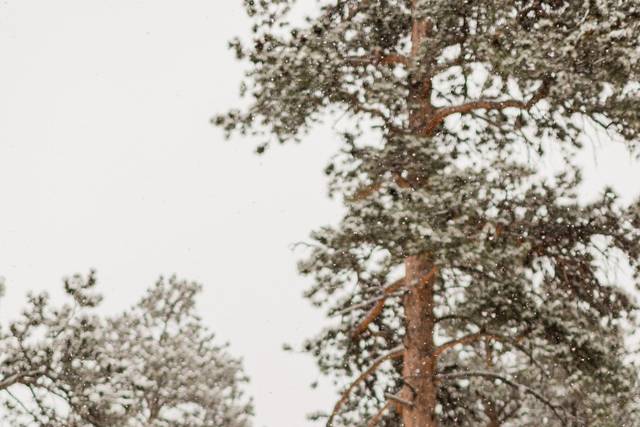 Winter Elopement in RMNP