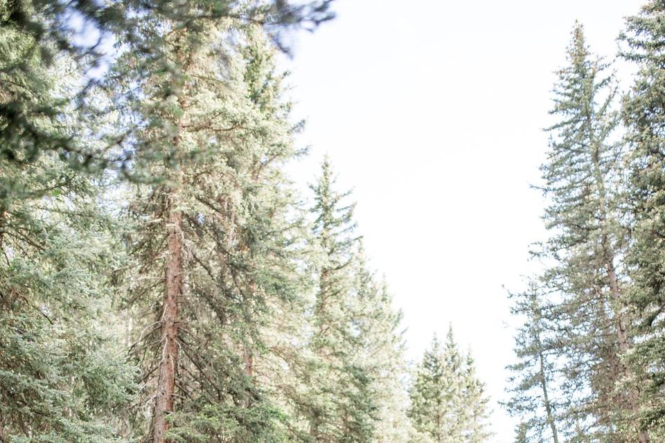 Outdoor Mountain Wedding in CO