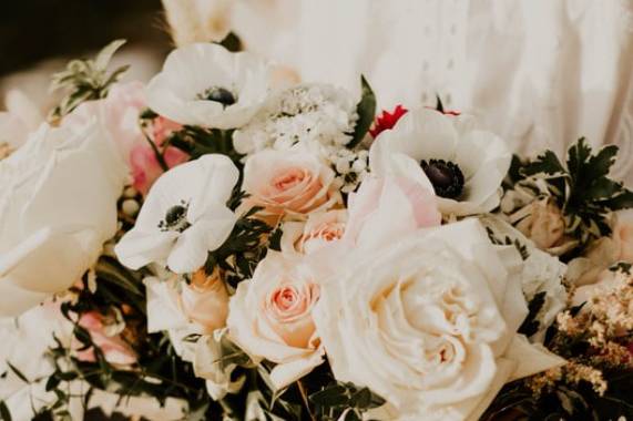 Wildflower and Willow Floral