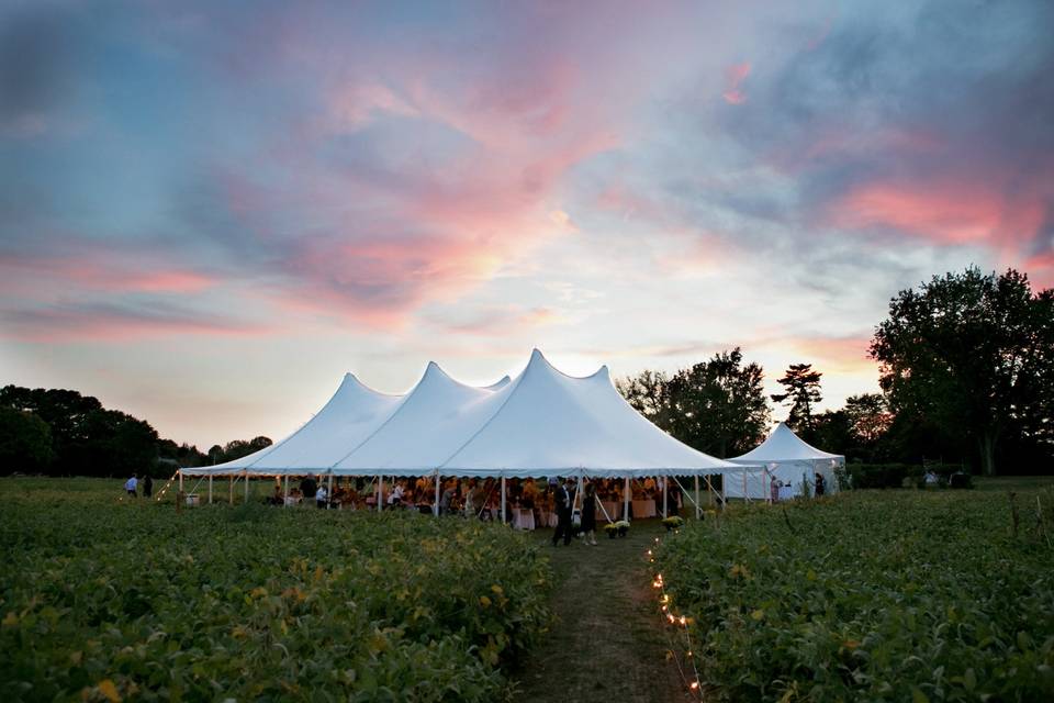 Tent reception