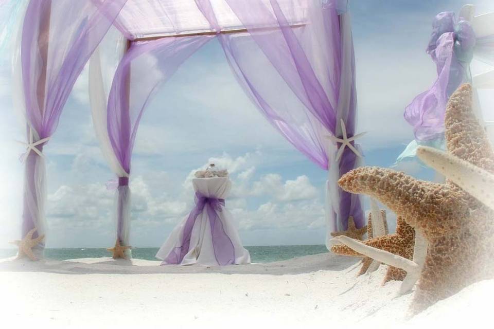 Suncoast Weddings