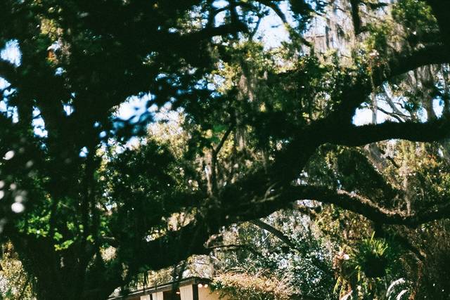 The Lumiere Collective