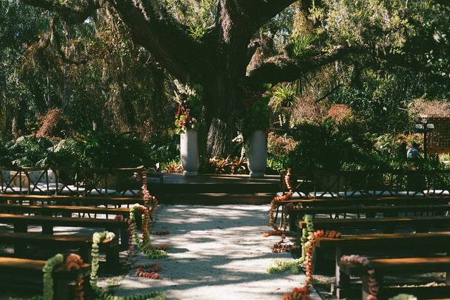 The Lumiere Collective