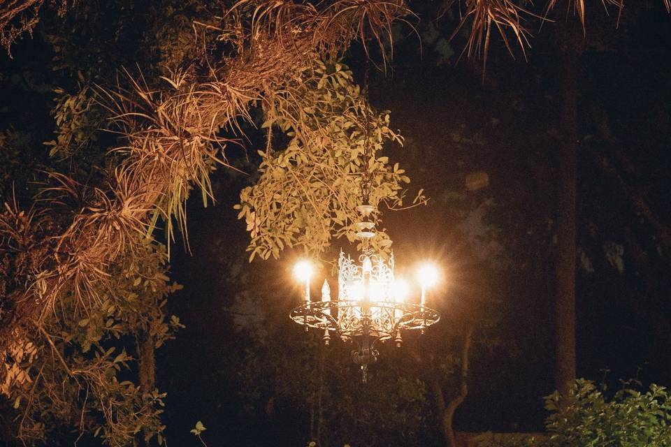 Under the Stars