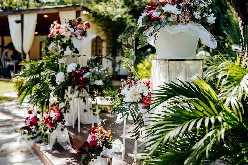 Tropical Ceremony