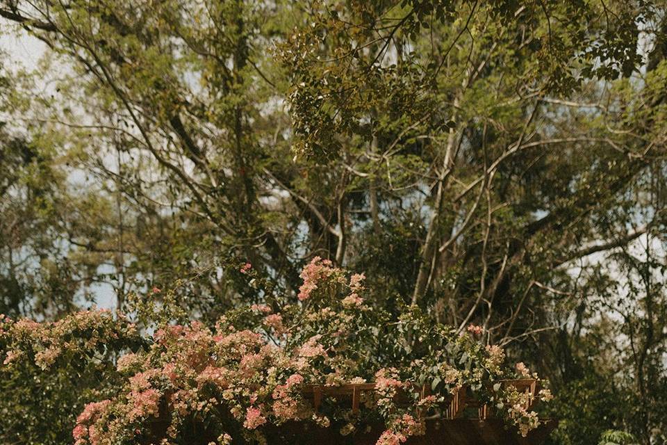 Under the Flowers