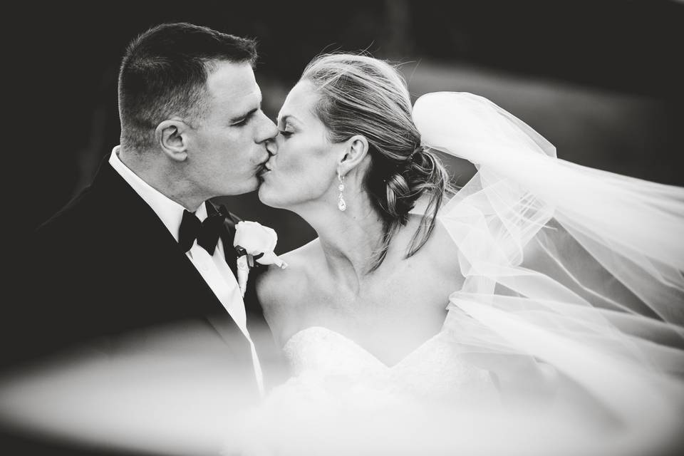 Veil Wedding Photo