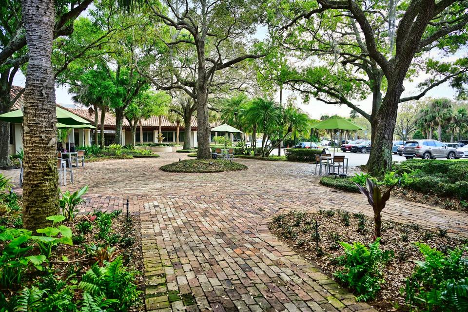 Courtyard under the oaks