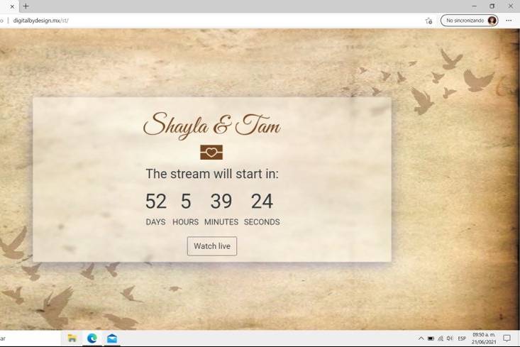 Shayla & Tam Custom countdown