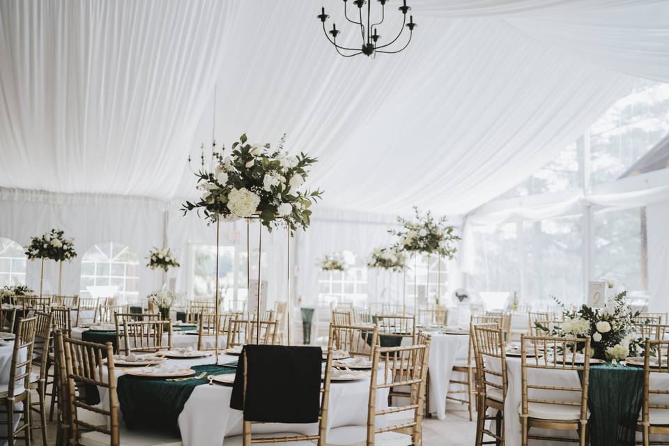 Reception Set Up