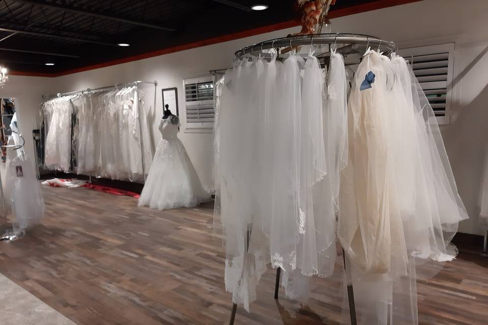 Veils & Wedding Dresses