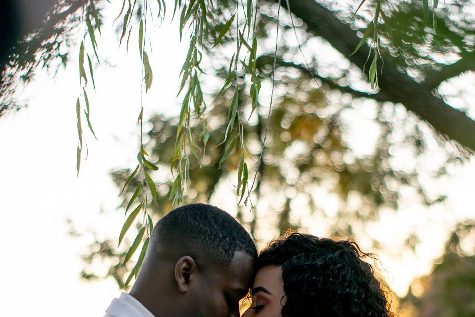 Natalie Ward Photography