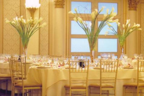 Calla Lily Sophistication