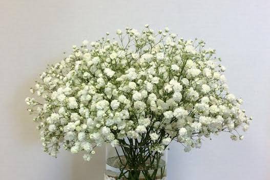 Breath of Beauty Centerpiece