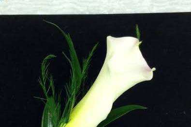 Calla Lily Boutonniere