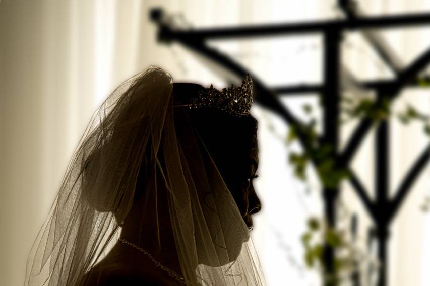 Bride backlit