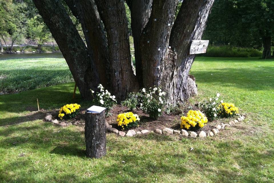 Rev. Karen D. Fischer, Life Cycle Celebrant, Interfaith Minister