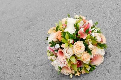Purely Captivating Photography